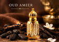 Oud Ameer
